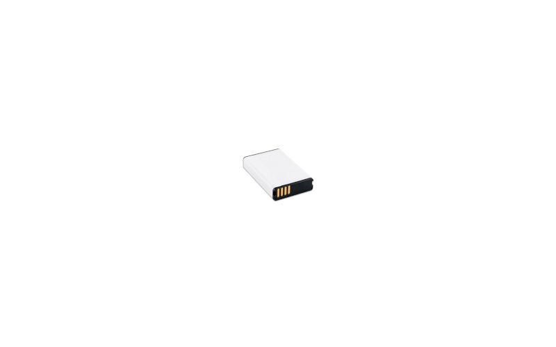 Garmin Batterie Lithium-Ion pas cher