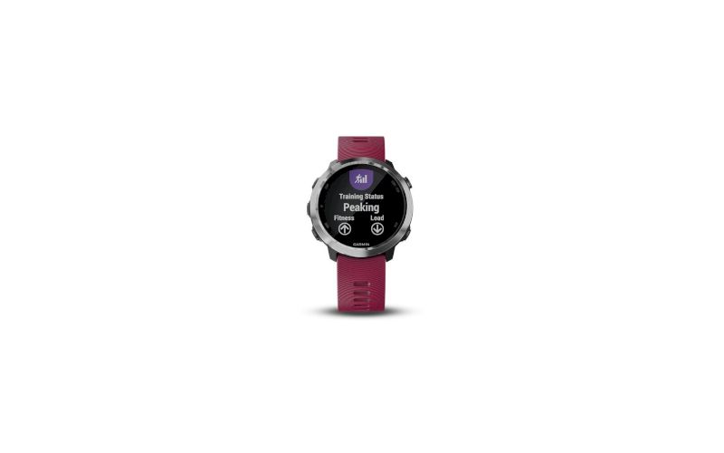 Garmin Forerunner 645 Music et bracelet 20 mm offert pas cher