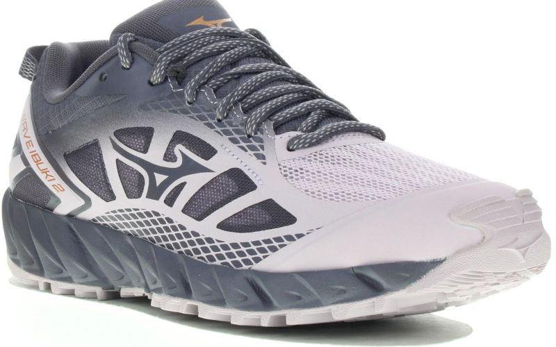 Mizuno Wave Ibuki 2 W pas cher