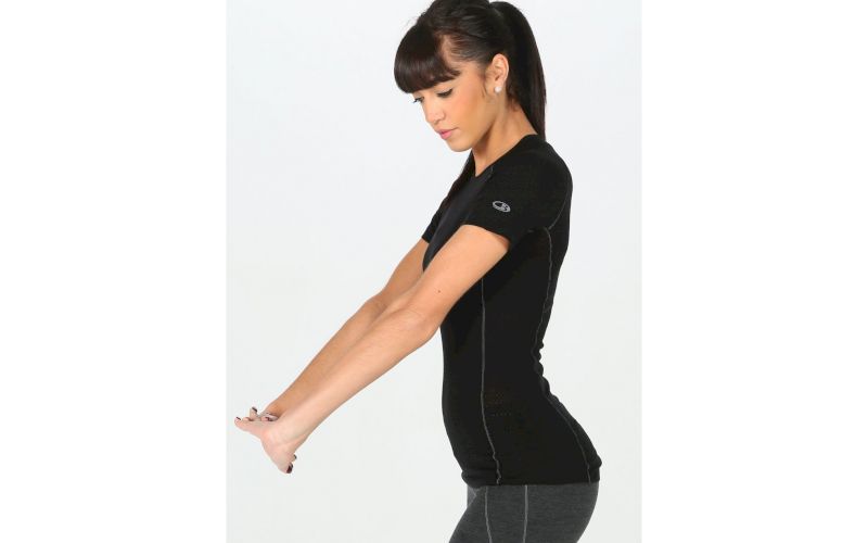 Icebreaker Bodyfitzone 150 W pas cher